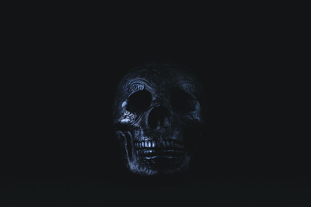 Ornate black and silver skull decoration in shadow.