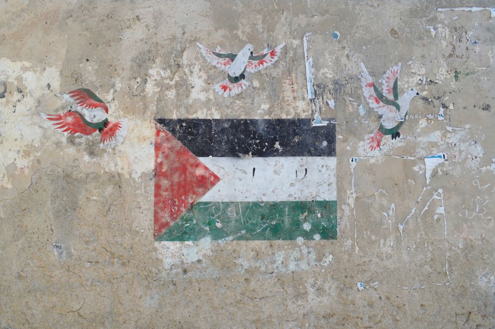 Palestinian flag surrounded by doves on a concrete wall.
